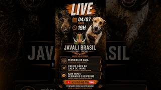 LIVE 04/07 | JAVALI BRASIL