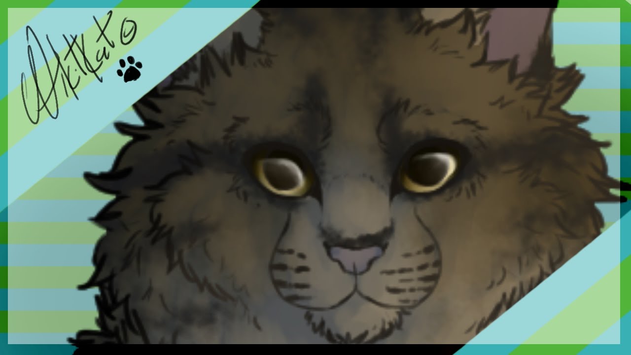 Tigerclaw's Son- AliKitKat