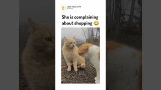The matter is serious 😉😹