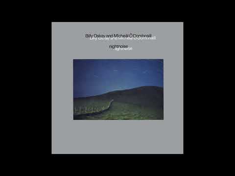 [FLAC 24/96] Billy Oskay & Mīcheāl Ō Domhnaill - Nightnoise (1984) Vinyl