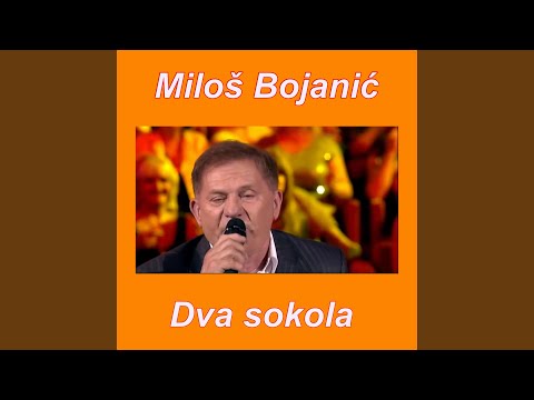 Video Placeholder
