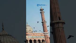 Hukum Mencicipi Makanan saat Berpuasa Bagaimana? Simak Penjelasannya