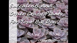 We Sell Crazy Plants And Give The Proceeds To Crazy Critters Inc.