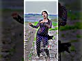Video Roti Gol Gol Shilpi Raj रोटी गोल गोल Rani Actress Bhojpuri Song 2022