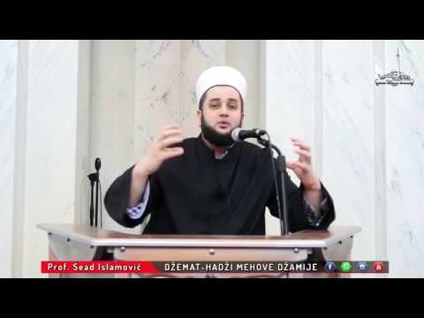 Predavanje - RUKNOVI I SARTOVI ZA ISPRAVNOST BRAKA- Prof.Sead Islamovic