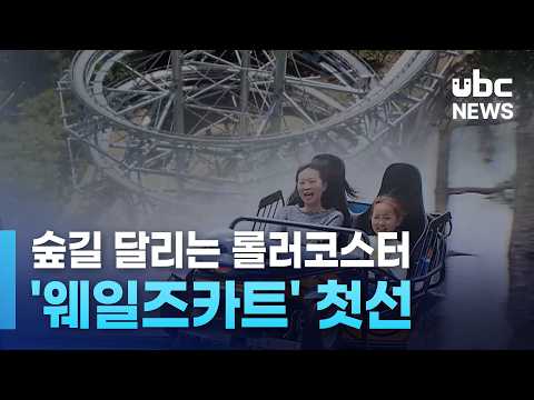 숲길 달리는 롤러코스터..'웨일즈카트' 첫선