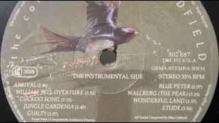 Mike Oldfield - William Tell Overture (1976)