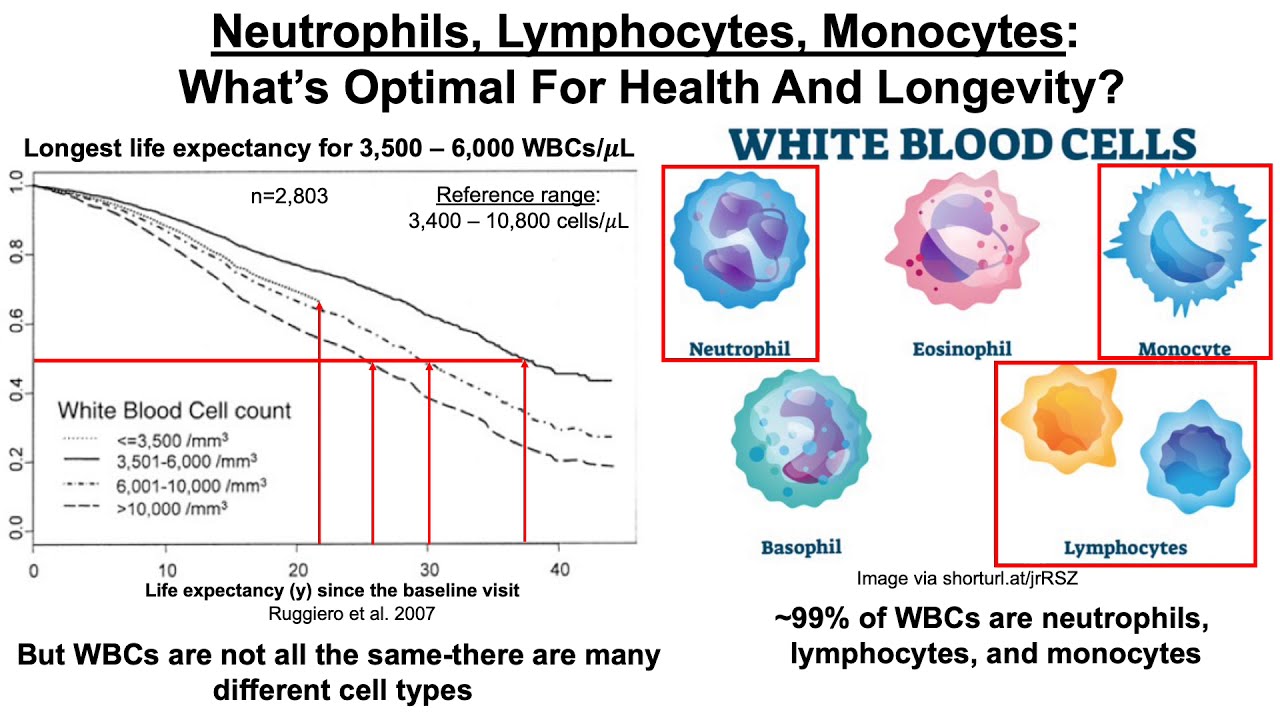 Quantifying Biological Age Blood Test 1 in 2021