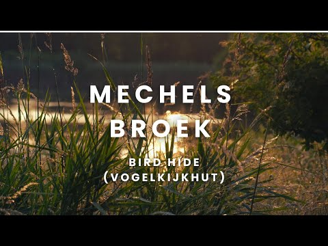 Mechels Broek: Vogelkijkhut (Bird Hide)