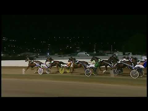 Napoli Trotto 20/08/2021 - 4ª corsa