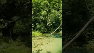 Ha Ha Tonka natural spring! Missouri