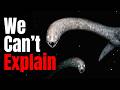 The Deeper You Go The Creepier Prehistoric Oceans Get