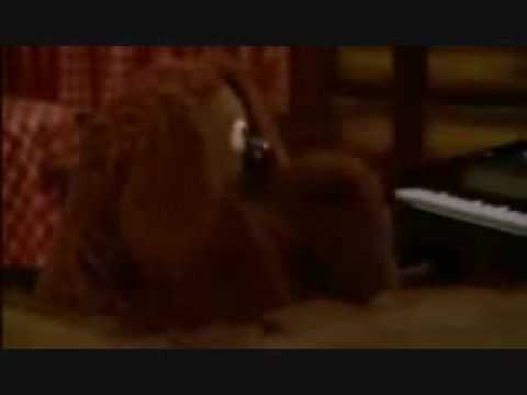 The Muppets I Hope That Something Better Comes Along