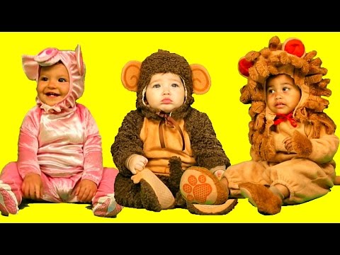 El Sonido de los Animales - Canción Infantil - aprende los animales | Lunacreciente