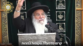 מי לא מפחד מהאריה