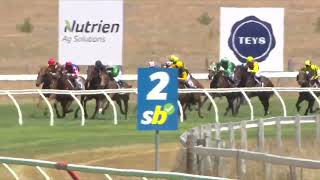 Pacific Jewel | ABR winner