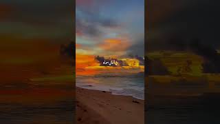 Download lagu The Beauty Of Existence By Muhammad Al Muqit #arabic Nasheed #beautiful Nasheed #nasheed #shorts mp3