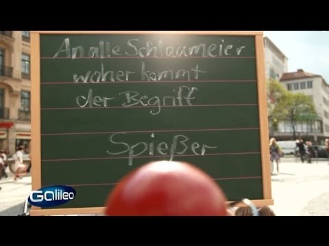 Galileo Schlaumeier: Spießer | Galileo