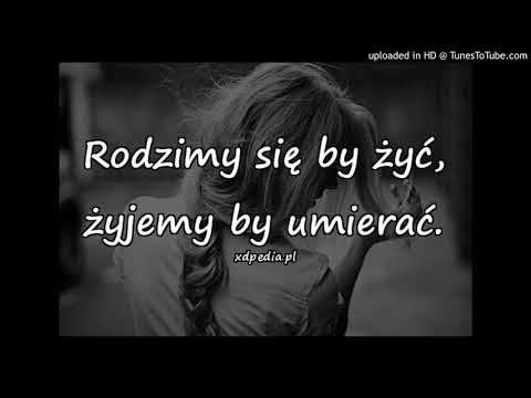 Kucjata -Mieli sie spotkać 2018