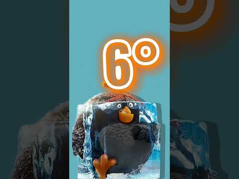 4 Minutos de Naipe Baiano Dance Se Souber