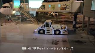豪雪に喘ぐ全国を尻目に帰省した