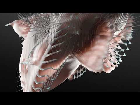 HABITAT and Echonomist