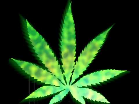 DeeBuzz feat. Nikitaman - Mein Weed