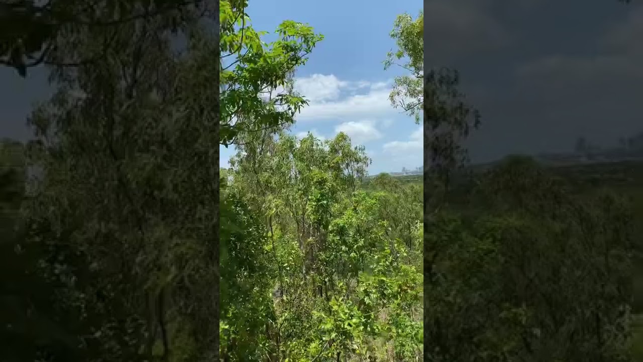 YouTube Short thumbnail