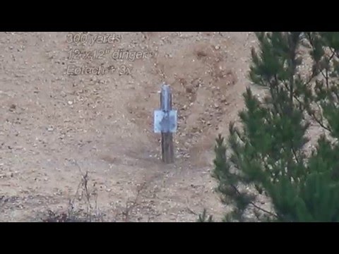 Eotech with Eotech G33 3x at 300 yards