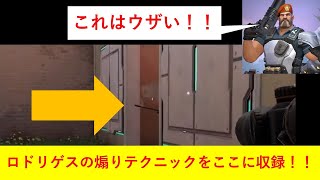 [Valorant] クリスチーネとのSRタイマン勝負!!
