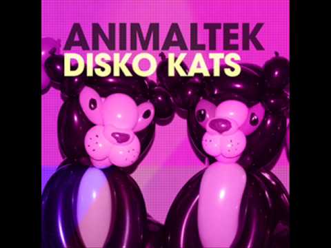 Animaltek - Disko Kats