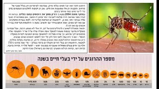 דף יומי מסכת סנהדרין דף עז Daf yomi Masechet Sanhedrin page 77  ע"י יוני גוטמן (שיעורי הדף היומי ב-20 דקות – מועבר ע"י ר' יוני גוטמן – לעילוי נשמת אביו ר' אלימלך צבי (צביקה) גוטמן ז"ל) - התמונה מוצגת ישירות מתוך אתר האינטרנט יוטיוב. זכויות היוצרים בתמונה שייכות ליוצרה. קישור קרדיט למקור התוכן נמצא בתוך דף הסרטון