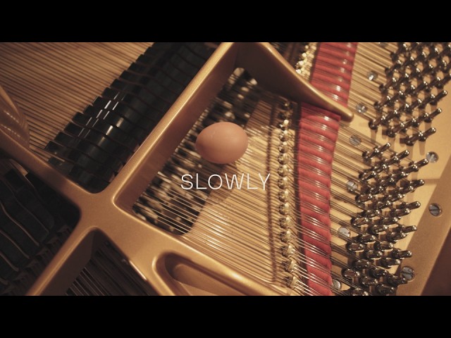 Alex Koo - Slowly (Official Music Short Film - Tamago)