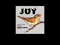Sufjan Stevens - The Little Drummer Boy (subtitulada en español)