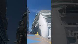 The biggest Cruiseship to smallest of Royal Caribbean. #cruiseship #cruise #yt #ytshorts #viral