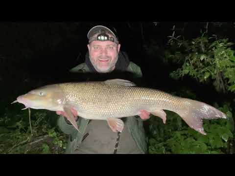 The After Work Sessions: Thames Barbel (Part 3)