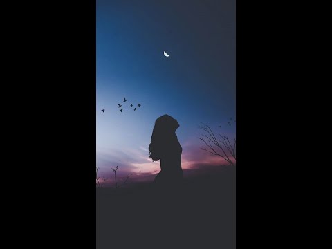 Stolar x TOKSON - Dla Najbliższych