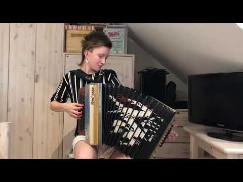 Polka Medley (Im Örgelihuus, Pretuler Polka, uvm.) - Steirische Harmonika
