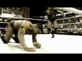 WWE Extreme Rules 2011 Randy Orton Vs CM Punk Square Off In A Last Man Standing Match Promo HD