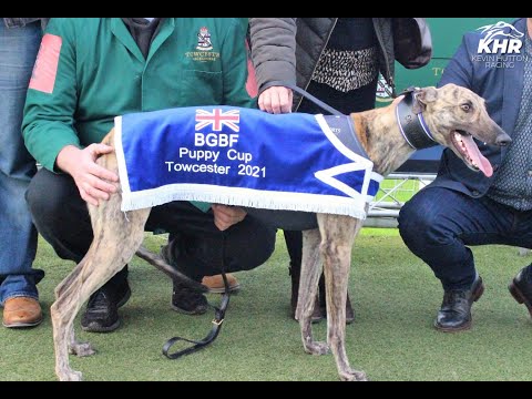 Moments Of Magic - BGBF PUPPY CUP FINAL