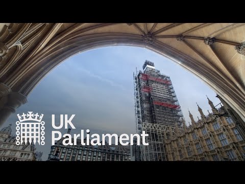 Westminster Hall debate on maternal mental health - 10 March 2021