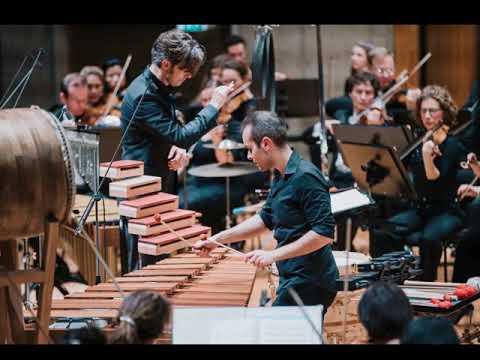 A.Sadikova Lichtscherben concerto for percussion and orchestra (Trailer), Simone Rubino