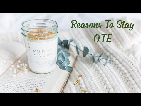 Reasons To Stay  - OTE
