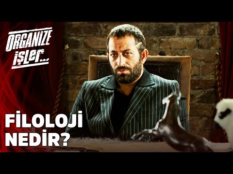 Filoloji Nedir? - Organize İşler