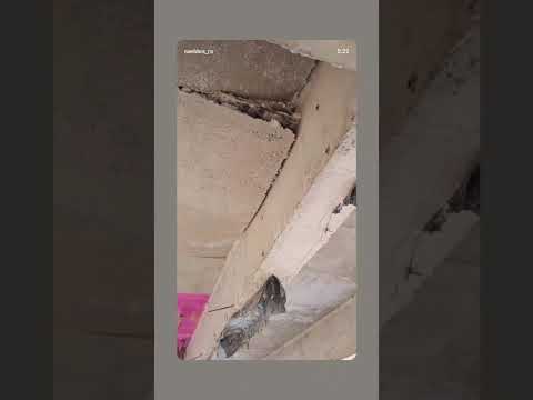 PONTE FEITA AS PRESSAS   NA VILA NOVO PLANALTO 4 BOCAS NOVO REPARTIMENTO PA APRESENTA PROBLEMAS