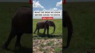 Things You NEED To Know Before Going on a Safari In Kenya!