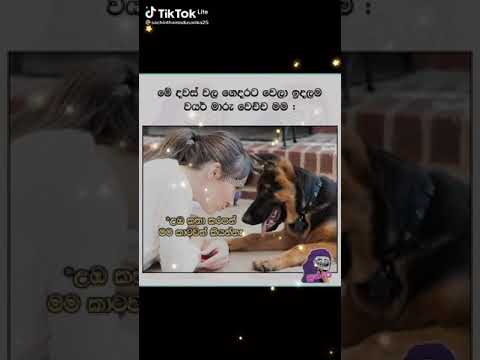 👻👻👻🤫🤫🤫👻👻👻