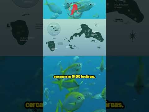 El archipiélago chileno que la UNESCO protege desde 1977 🌊  #historia