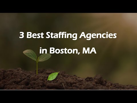 3 Best Staffing Agencies in Boston, Massachusetts 2024 | Employment Agencies