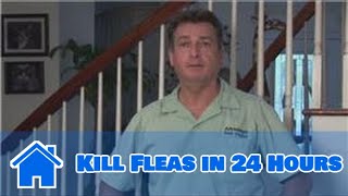 Home Pest Control : How to Kill Fleas in 24 Hours